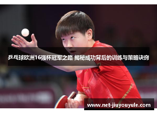 乒乓球欧洲16强杯冠军之路 揭秘成功背后的训练与策略诀窍