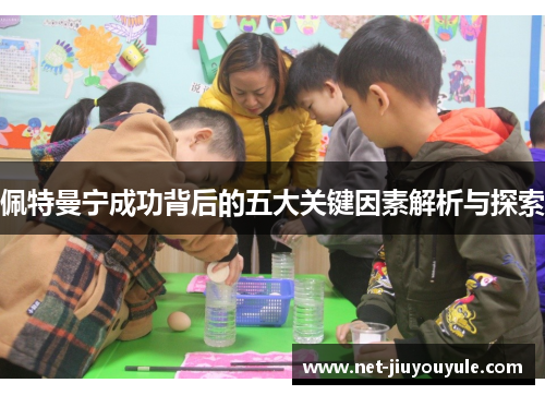 佩特曼宁成功背后的五大关键因素解析与探索