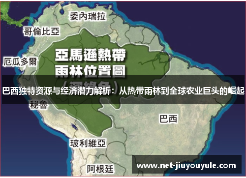 巴西独特资源与经济潜力解析:从热带雨林到全球农业巨头的崛起 巴西独特资源与经济潜力解析:从热带雨林到全球农业巨头的崛起